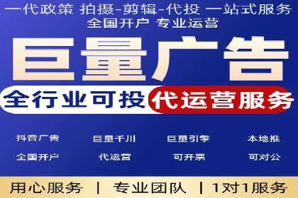 SEM广告投放中的数据监控与调整策略——以某品牌营销案例为例